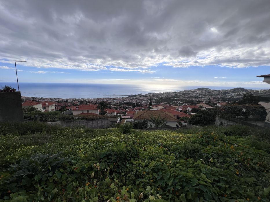 Lote para construção | Livramento | Funchal