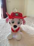 Peluche patrulha pata