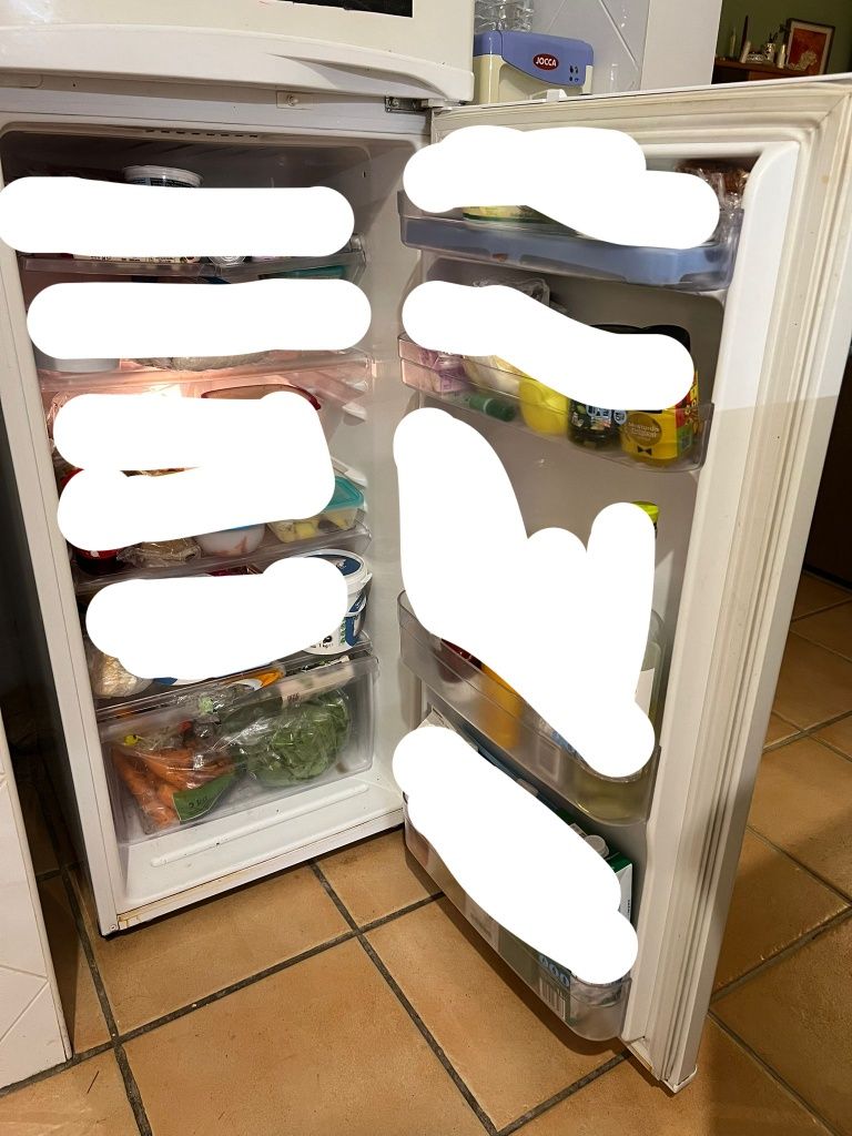 Frigorífico LG Electrocool