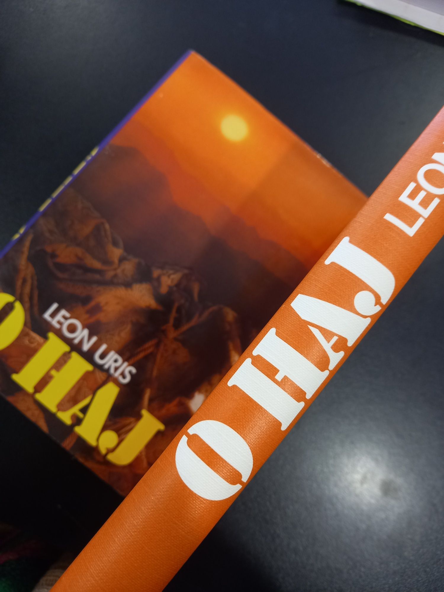 Livro de Leon Uris " O HAJ "