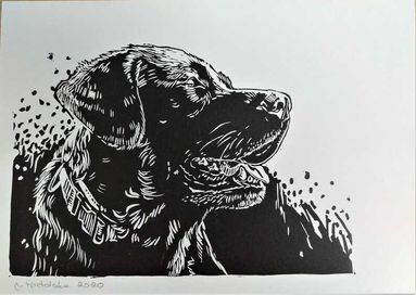 Linoryt, Labrador, grafika A4