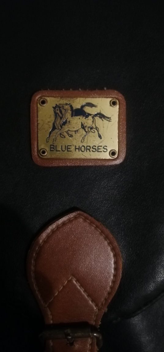 Шкіряний рюкзак BLUE HORSES
