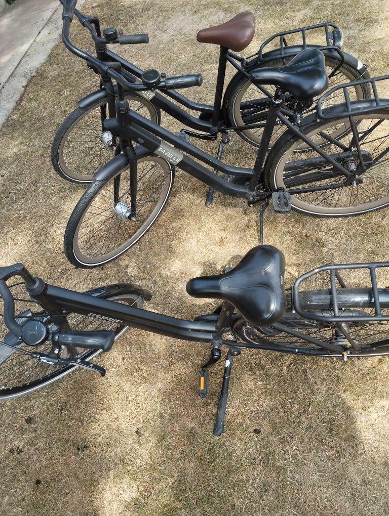 Rower damski gazelle