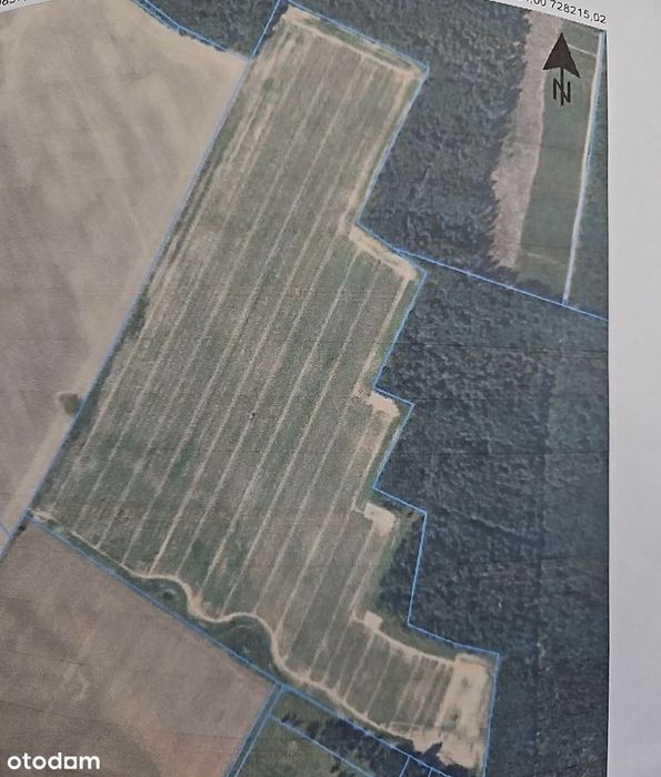 Sprzedam działkę rolną 30 ha, Krzywań, powiat słupski, woj. pomorskie