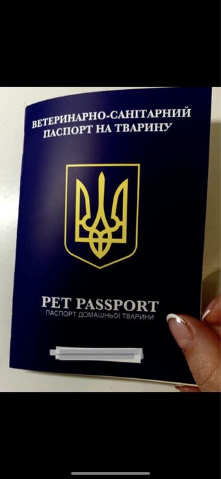 Оформление вет документов на вывоз животных за границу.Титры.Срочно