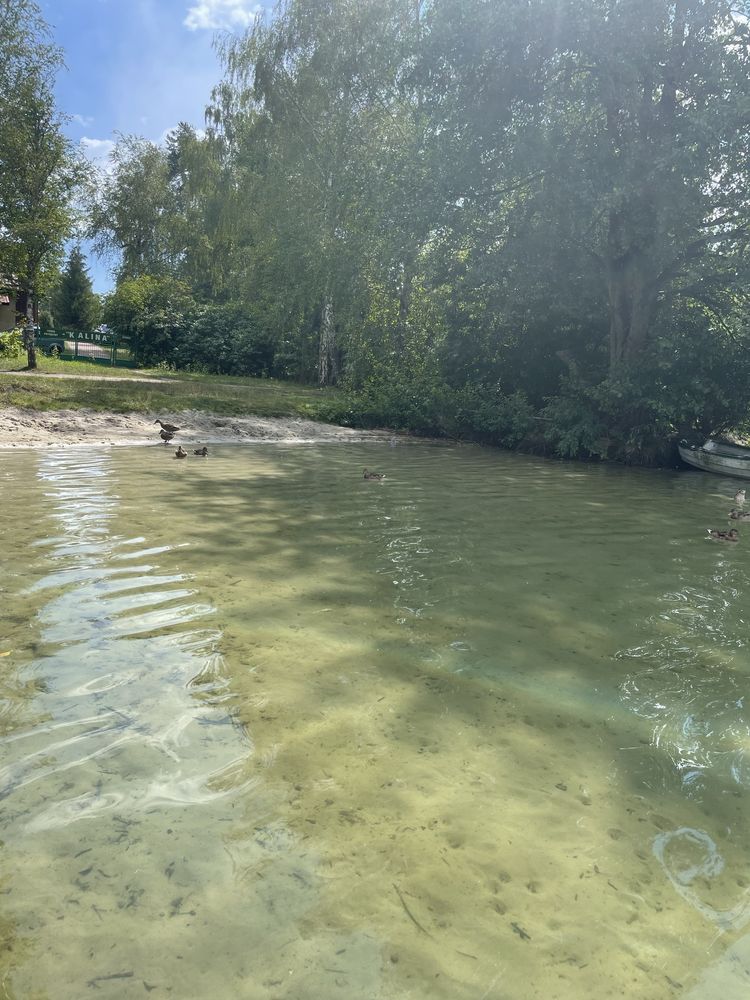 Domek Jezioro Białe Okuninka