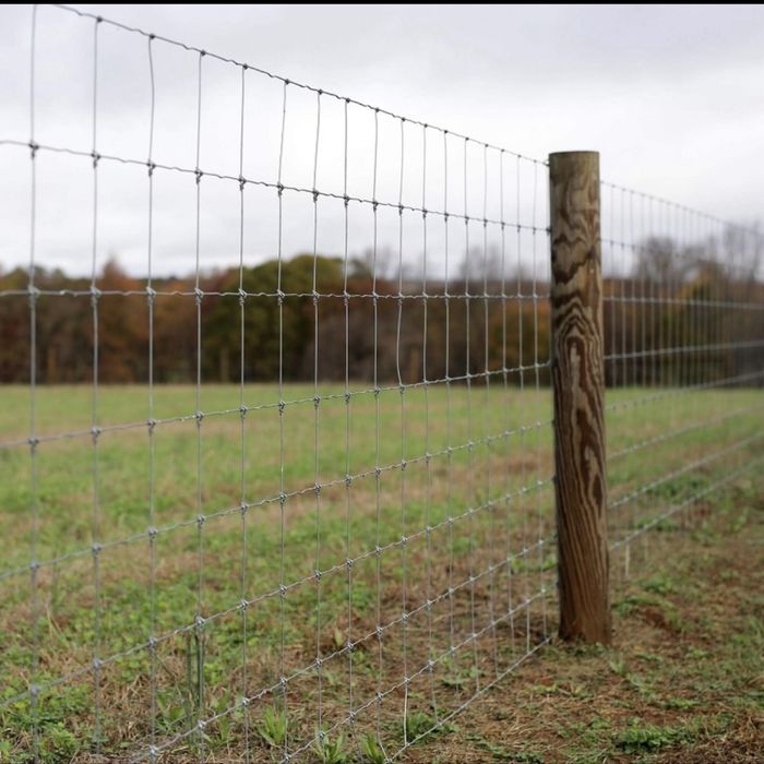 Instalação de Rede Ovelheira e Cerca Eléctrica (com preços)