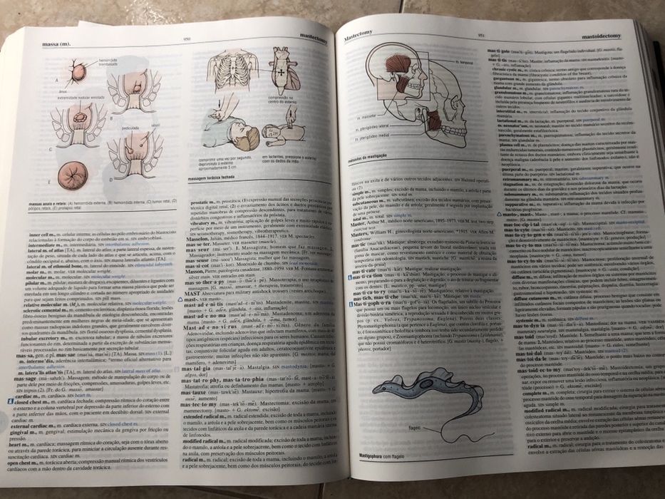 Dicionário Médico Stedman