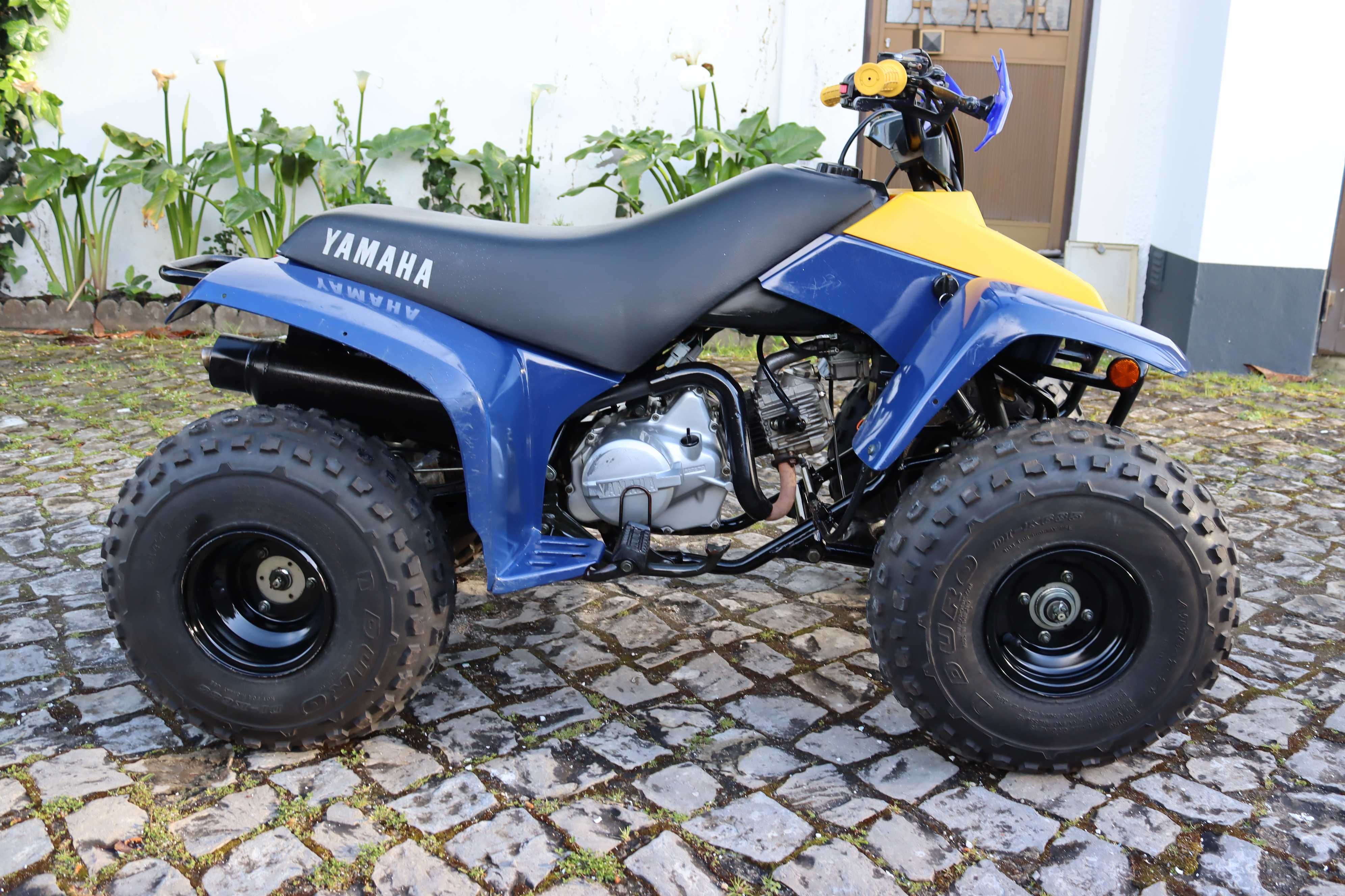 Moto4 Yamaha YFM 80