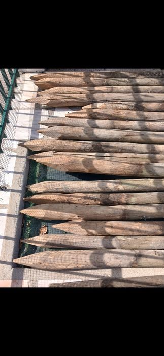 Promoção (paus tratados) como novos