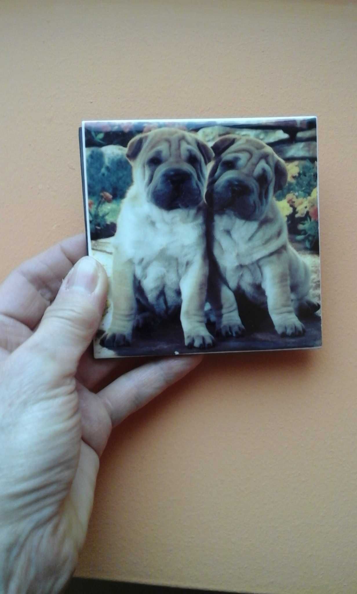 Shar pei podstawka ceramiczna