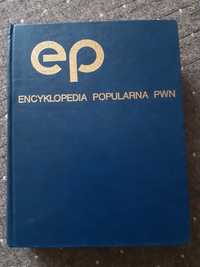 Encyklopedia PWN + gratis