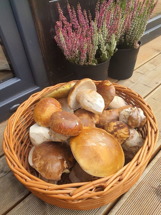 Czarne Domki nad jeziorem w Łagowie z balią/ jacuzzi