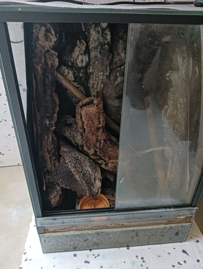 Terrarium z wyposażeniem