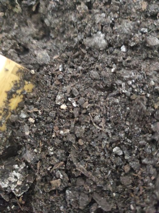 Земельна ділянка під бізнес