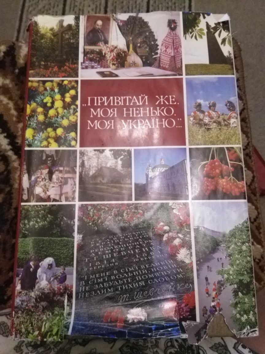 Фотоальбомы в отличном состоянии.