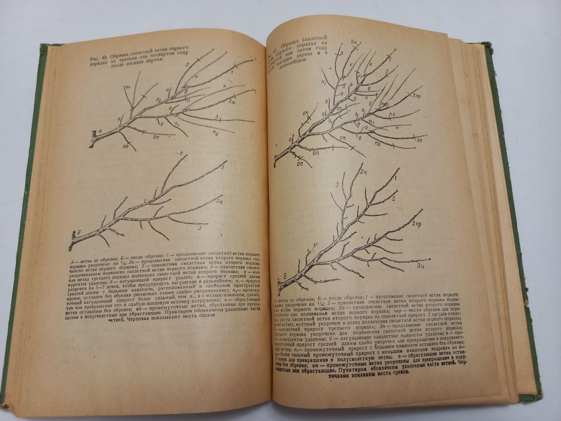 Формирование кроны и обрезка плодовых деревьев 1959г. П.С.Гельфандбейн