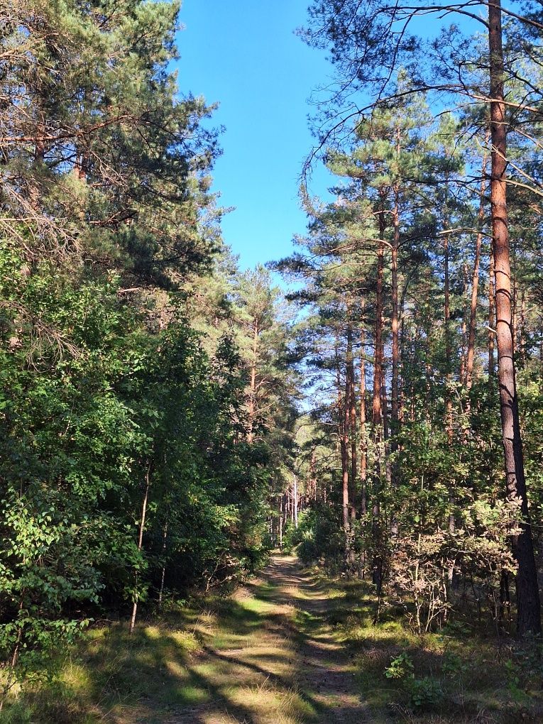 Domek Letniskowy na Mazurach