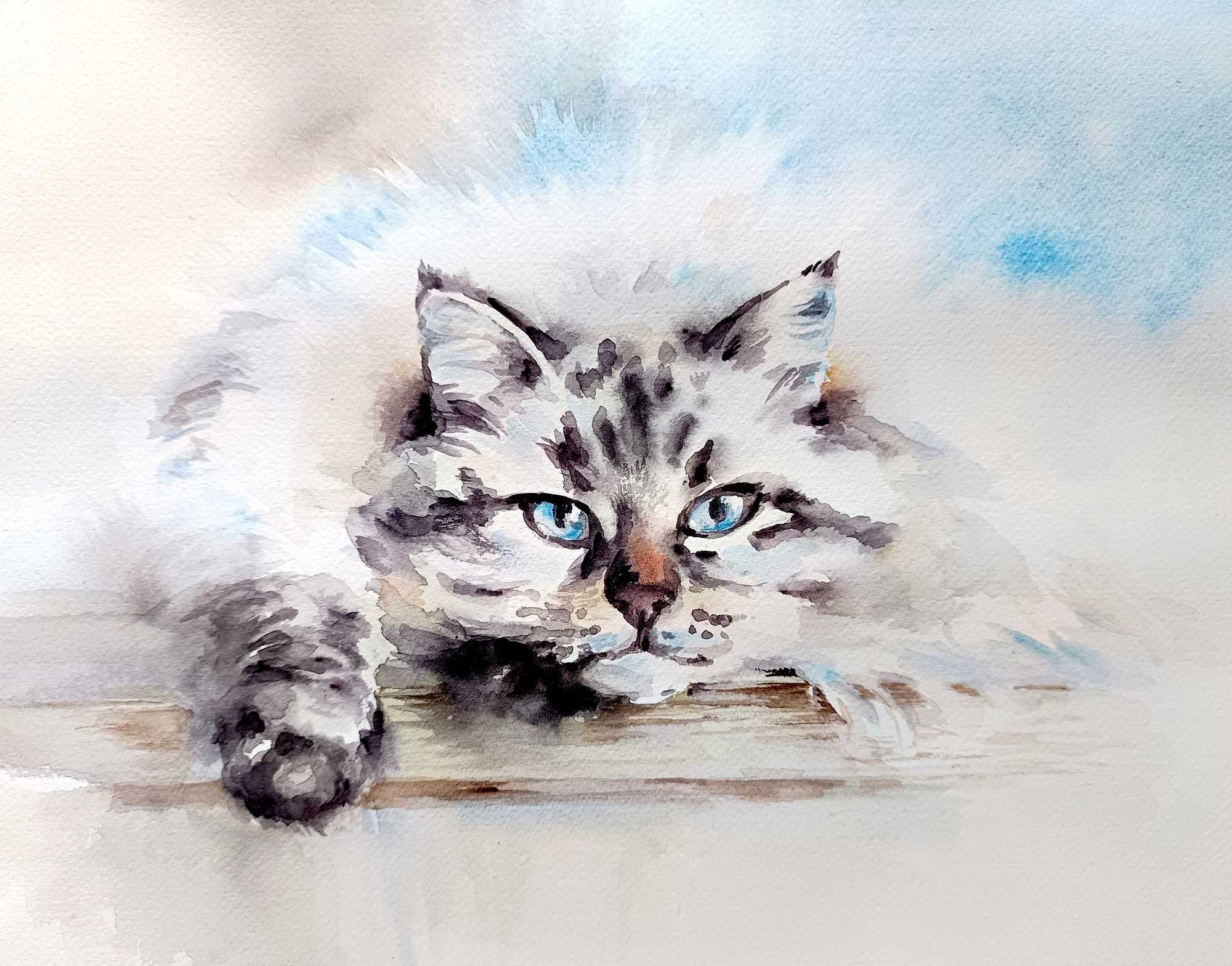 Kotki, oryginalne akwarele, papier bawełniany, A3