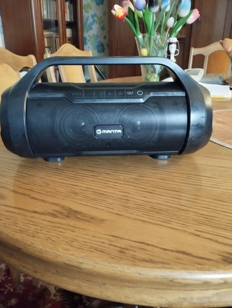 Glosnik bluetooth spk 215