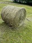 Siano bale, baloty, transport