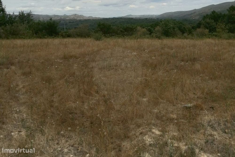 Terreno  para venda