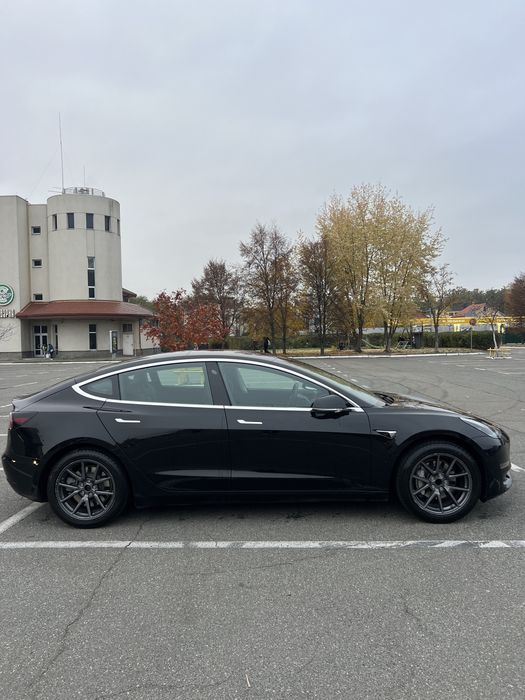 Тесла Модел 3 Standart Plus 2019