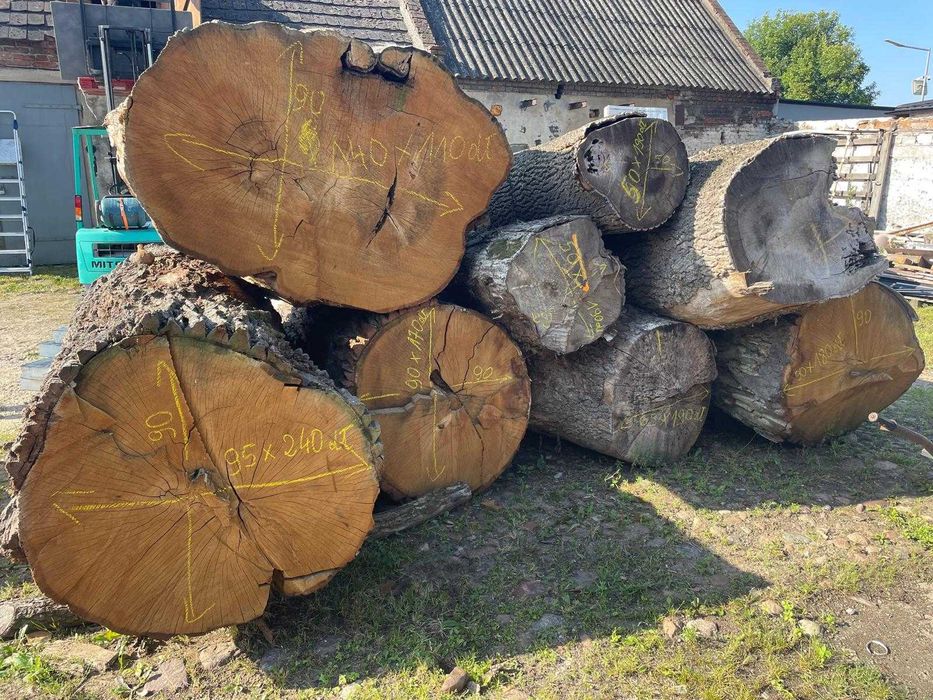 kłoda bal drewno tarcica duże średnice idealne na meble lub do rzeźby