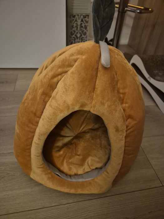 Domek dla kota dynia