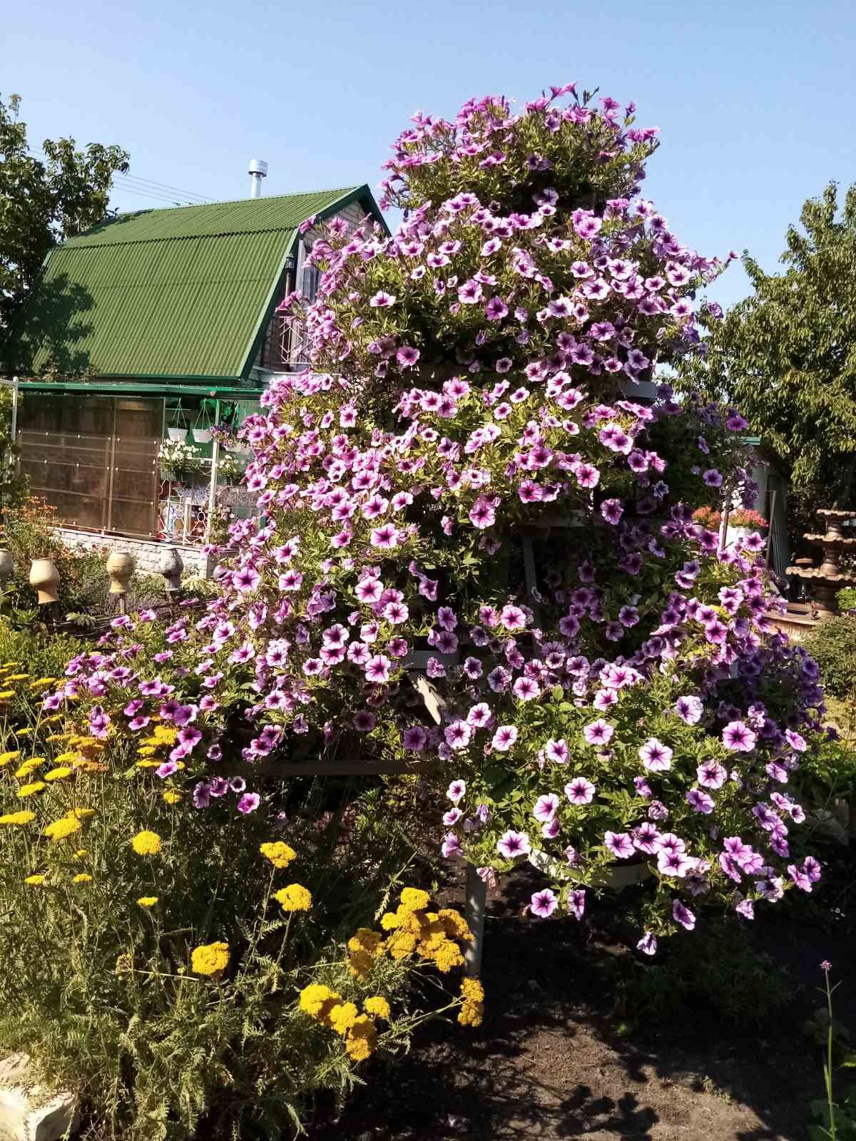 Садова арка для квітів