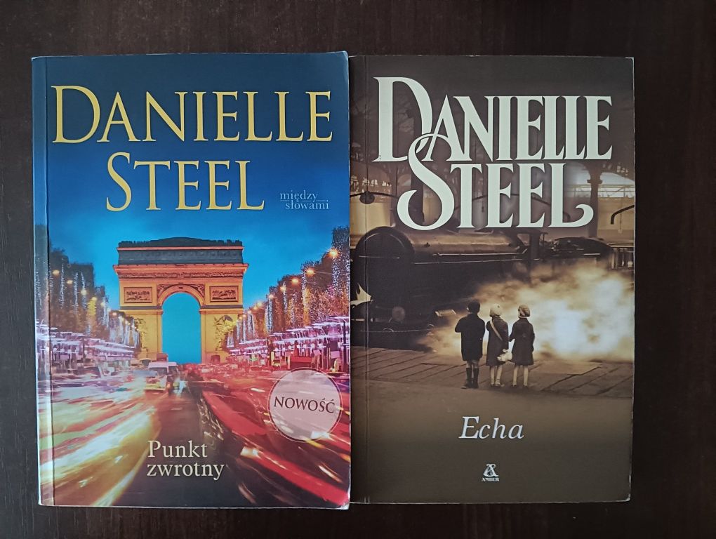 Danielle Steel - Echa i Punkt zwrotny