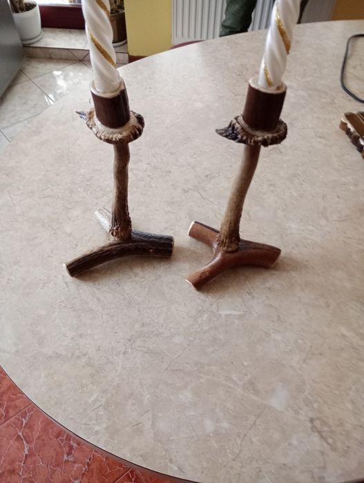 Poroże jelenia świeczki