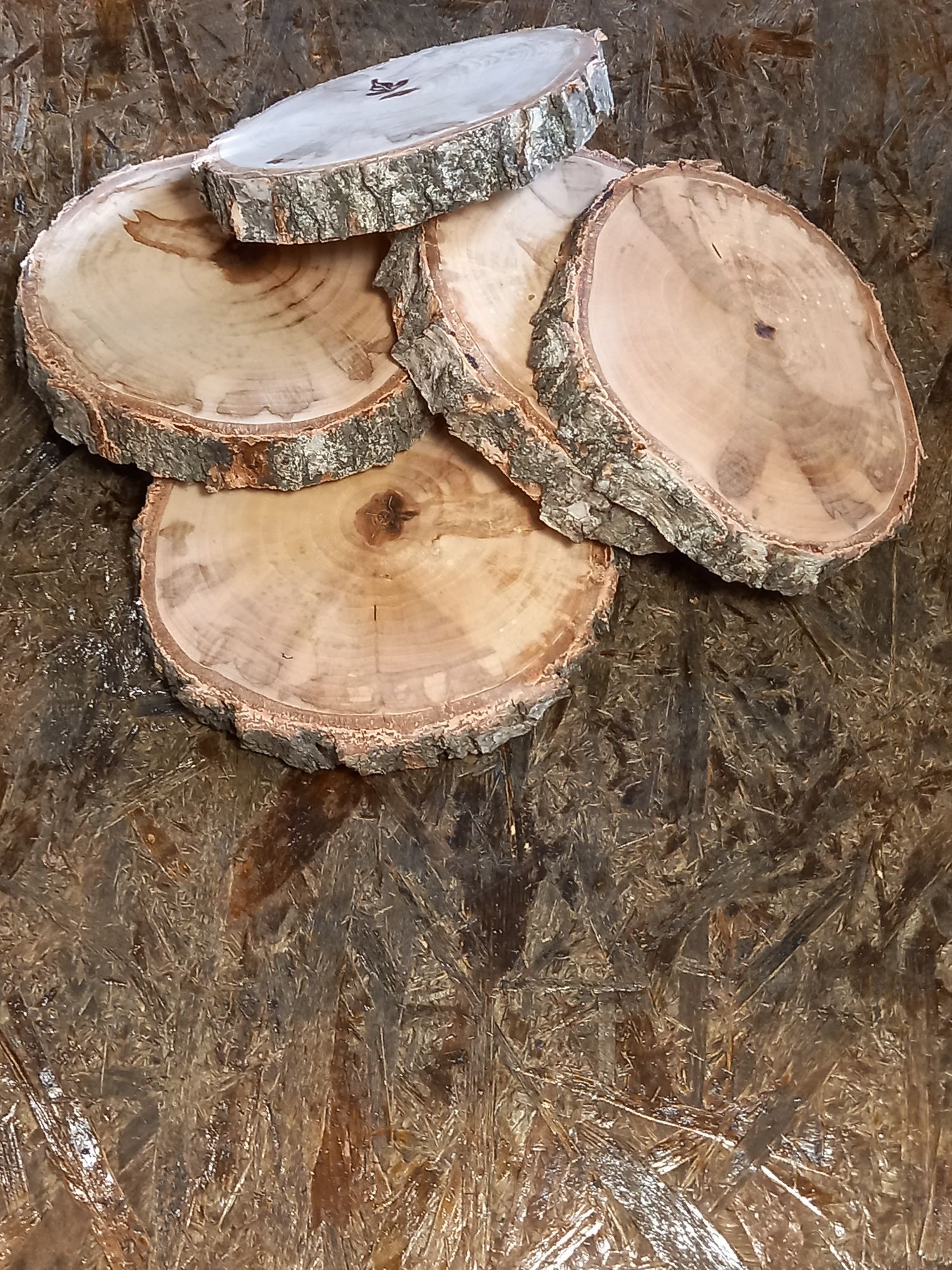 Спилы срезы дерева для декора и рукоделия