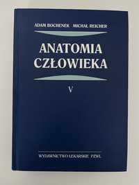 Anatomia człowieka, A. Bochenek, tom V