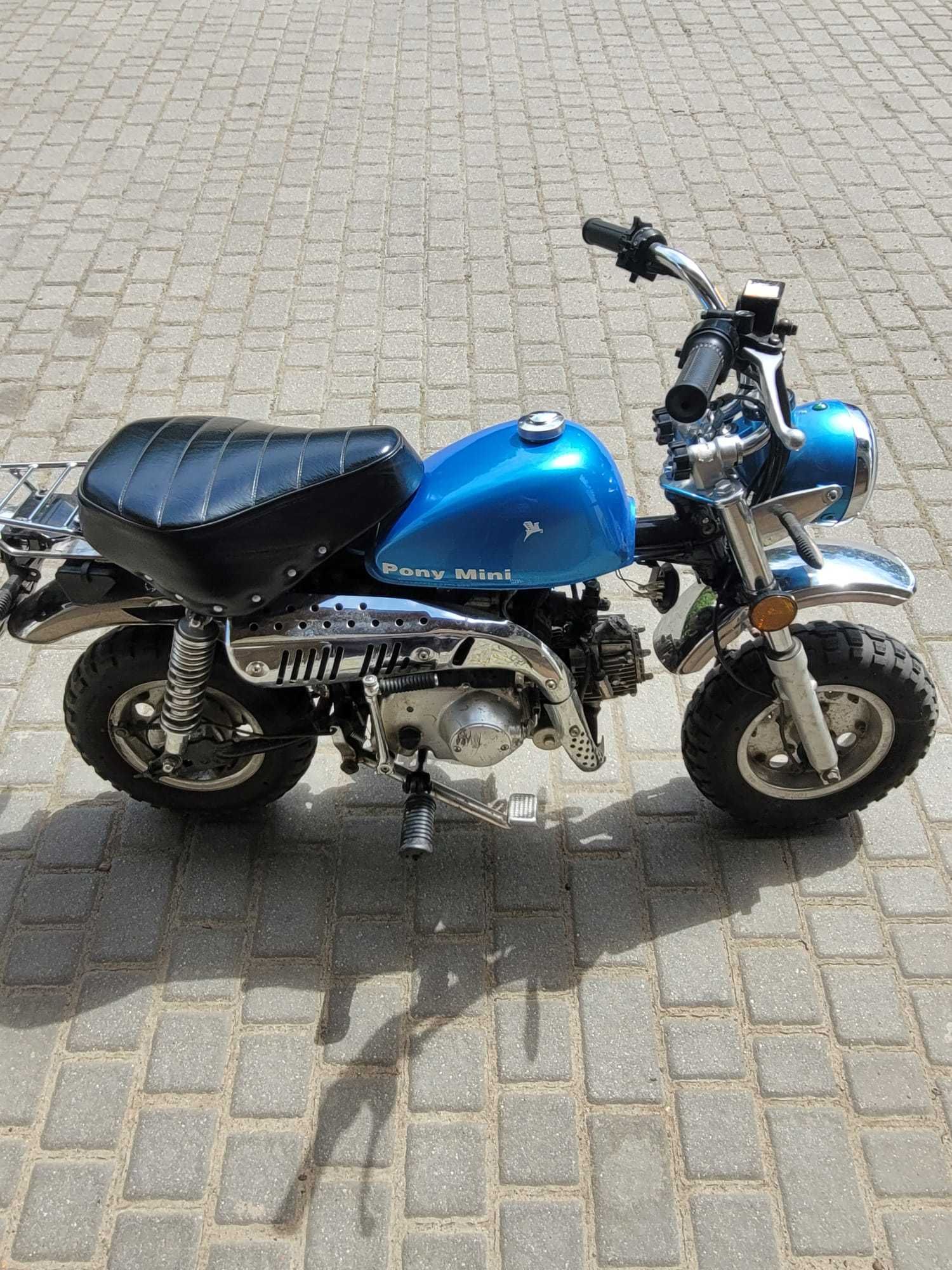 Motorynka Romet Pony Mini 50 2019