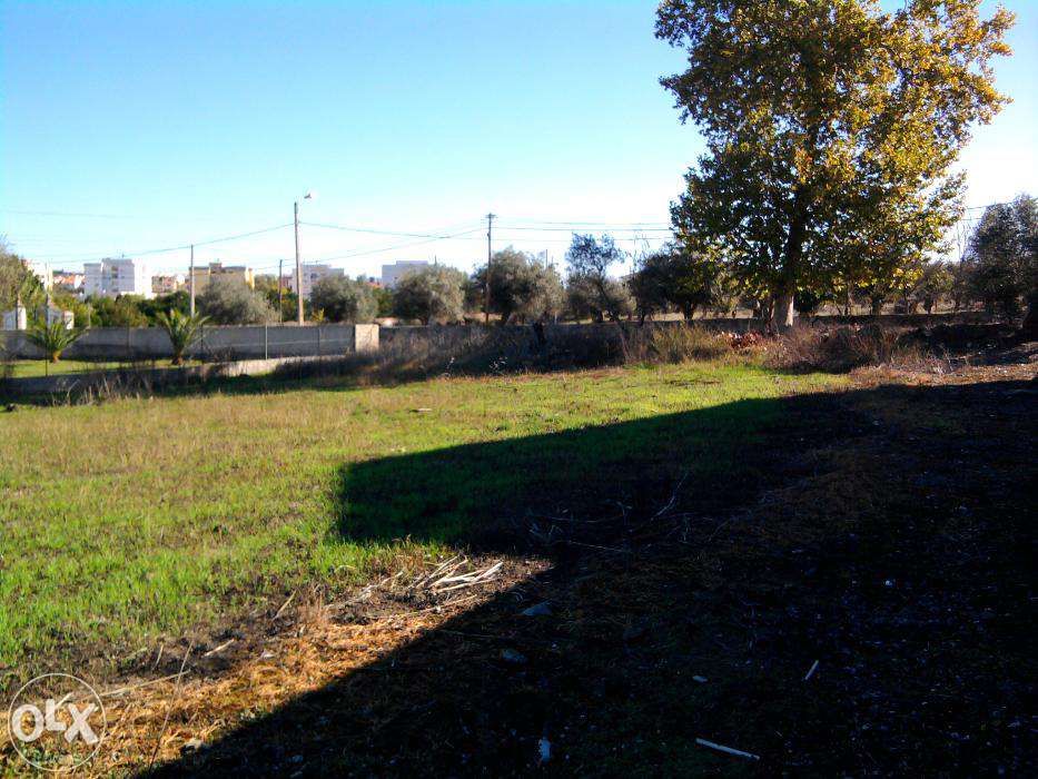 Vende-se terreno urbano 600m2 em elvas