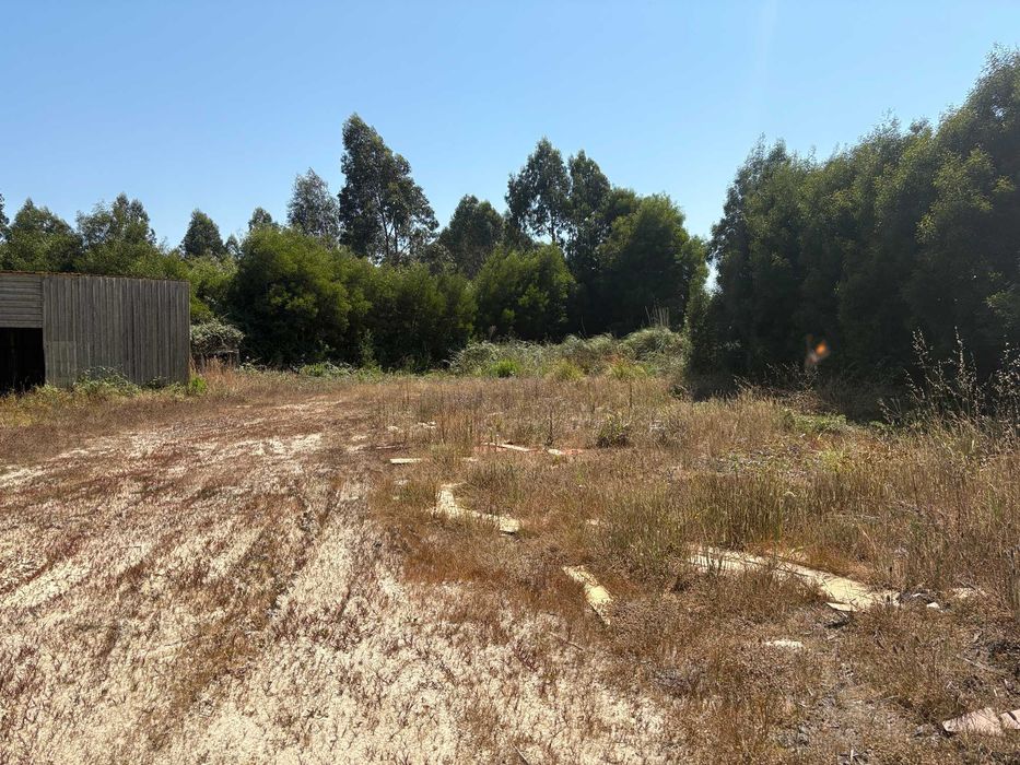 Terreno de 2.800 m2 para arrendar em Modivas