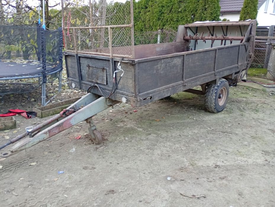 Rozrzutnik sadowniczy. Do podłoża pieczarkowego trociny