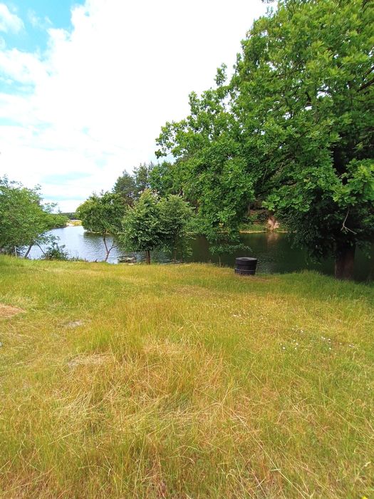 Ексклюзивна ділянка з виходом до ставу поряд з Рівнем.