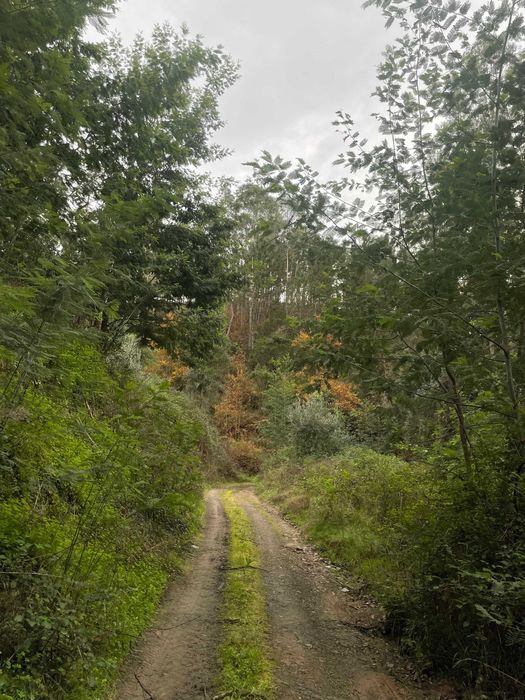 Terreno para venda em Porto da Carvalha,  Penacova