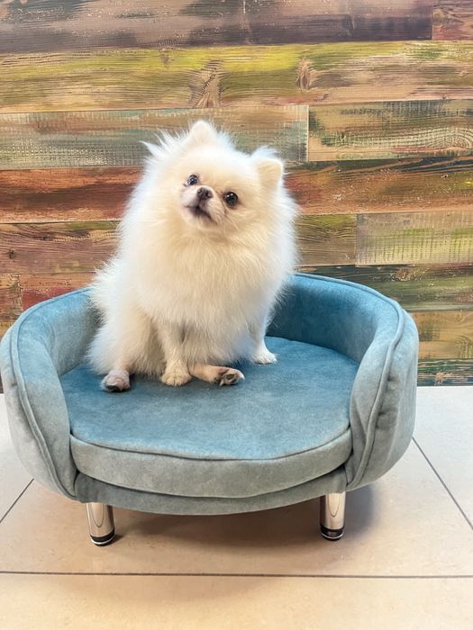 Лежак Лежанка для котів собак диван Люкс велюр