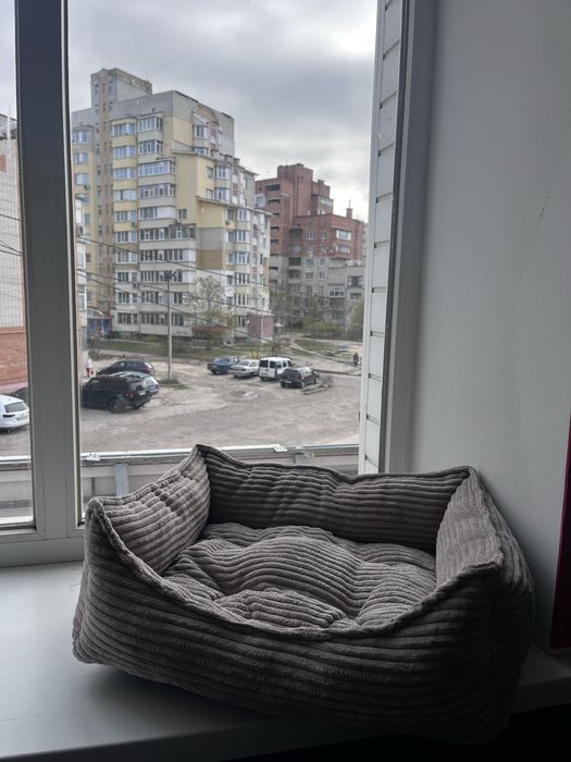 Лежанка лежак мʼякий  для собак кота Зоотовари мʼяке місце