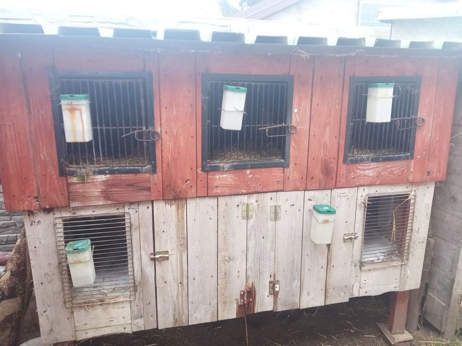 Klatka dla królików