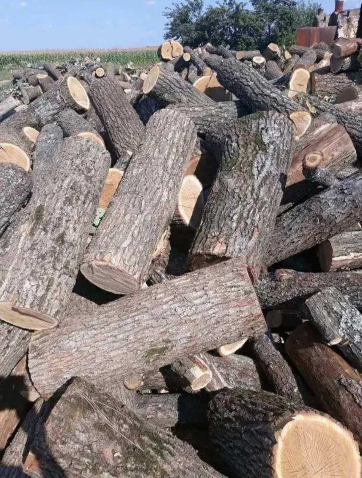 Продам дрова твердых пород (дуб, ясень, акация, клен) по низким ценам