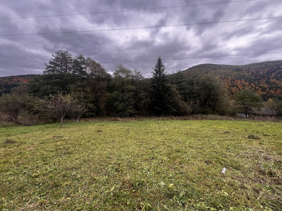 За 50 000$ продається 70 сотих в Микуличині!