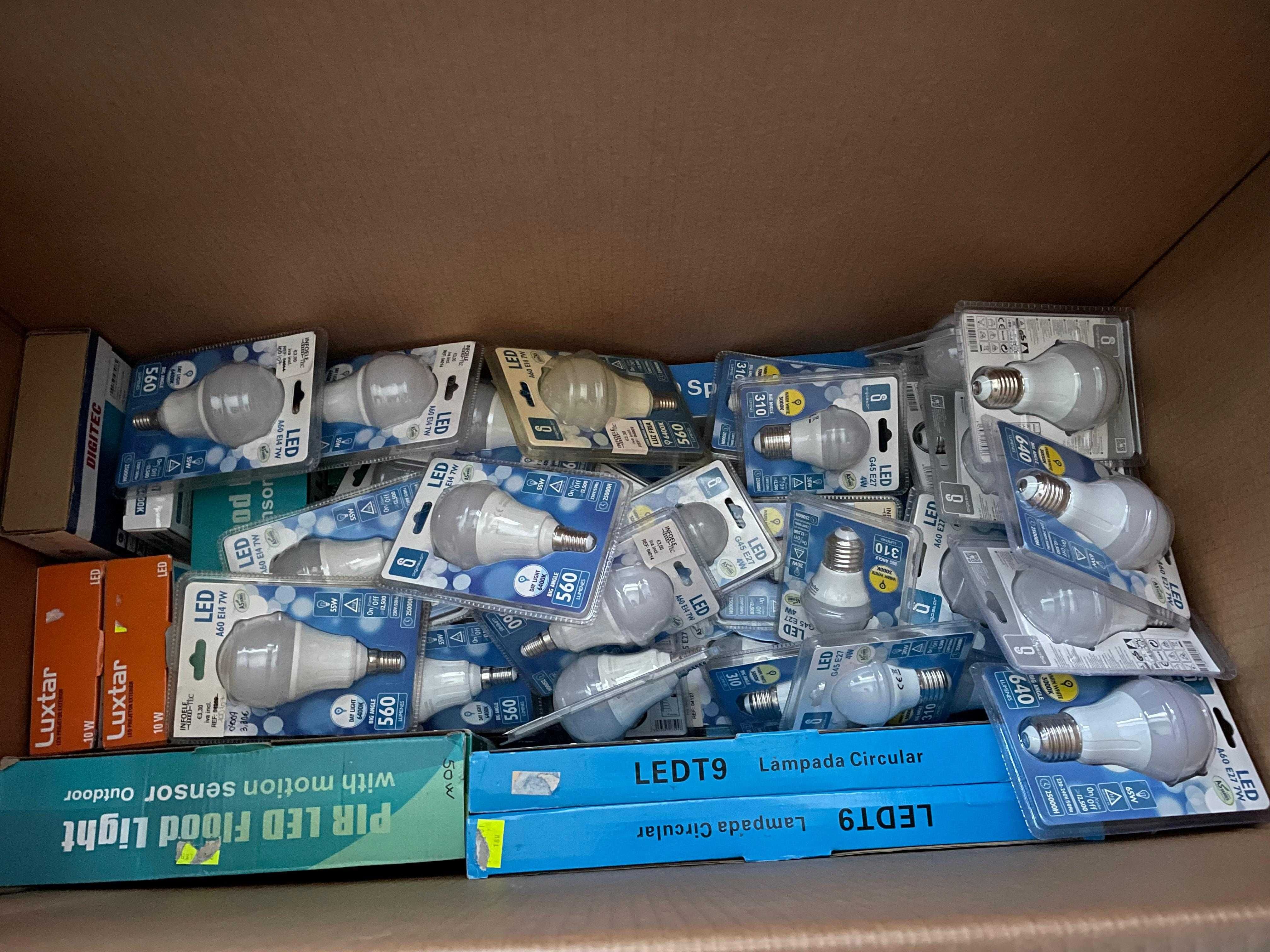Grande Lote de Lâmpadas, Suportes e Adaptadores - Liquidação