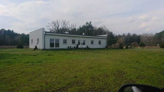 Dom pod lasem z dużą działką - Nowa Cena 580 000 tys