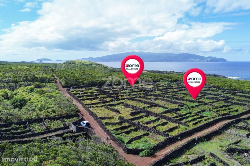 Terrenos Vitivinícolas situados nas Bandeiras na Ilha do Pico