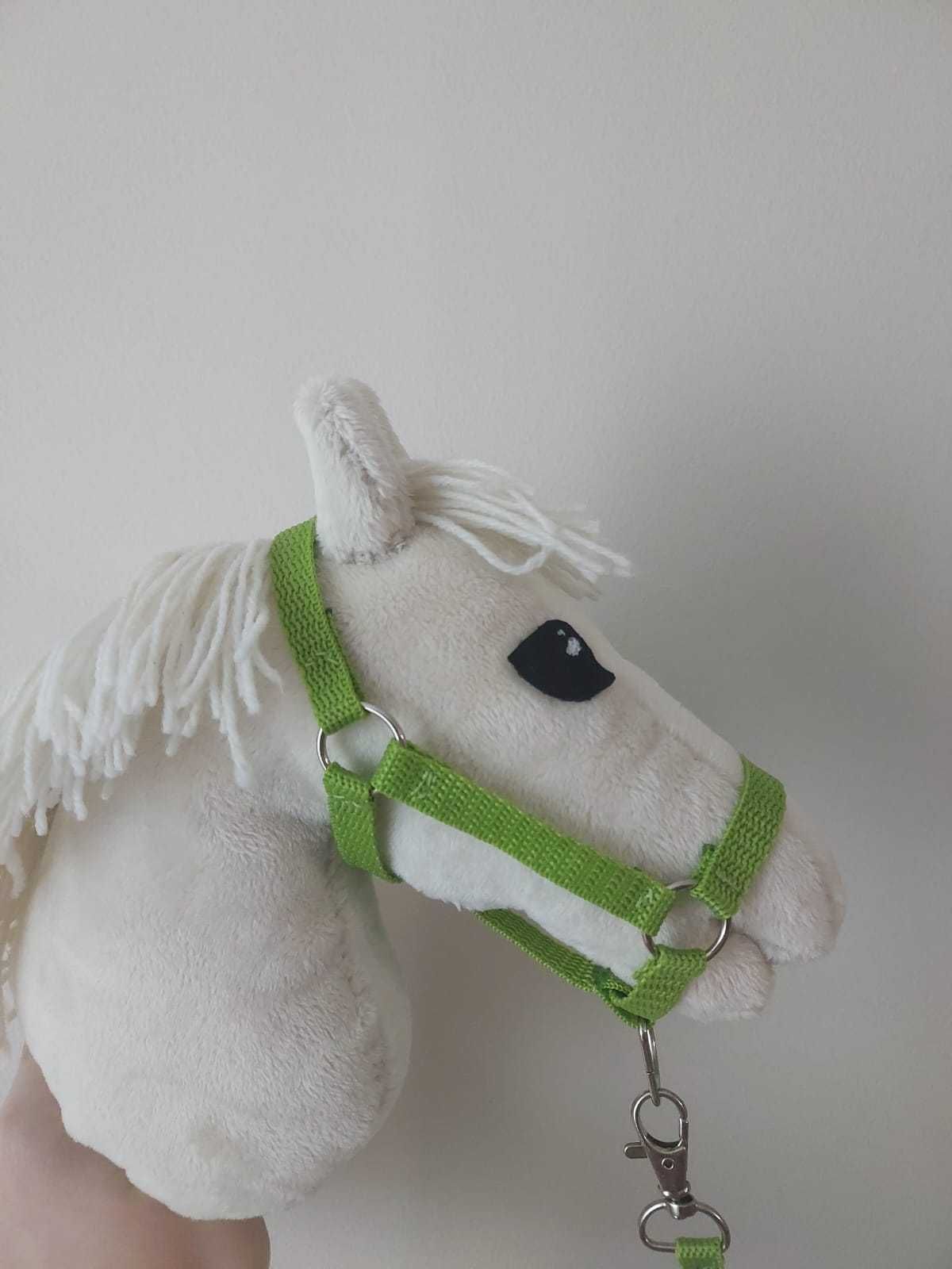 cremello źrebak hobby horse