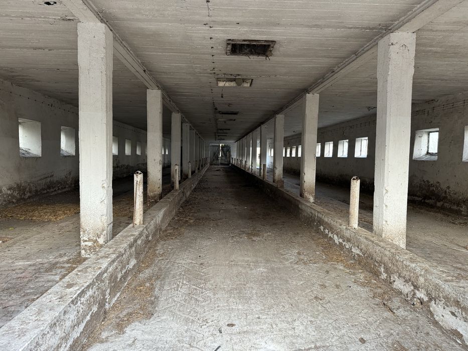 Wynajmę budynki po PGR Gledzianów, woj łódzkie